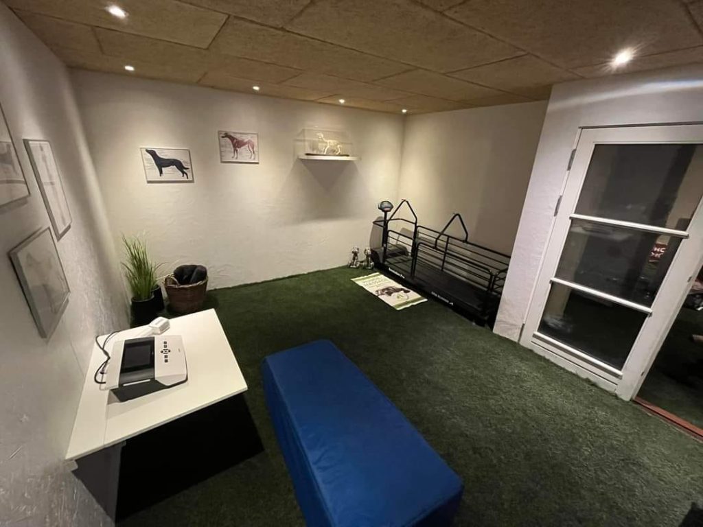 447638150_122098999436348620_5292623773502702765_n